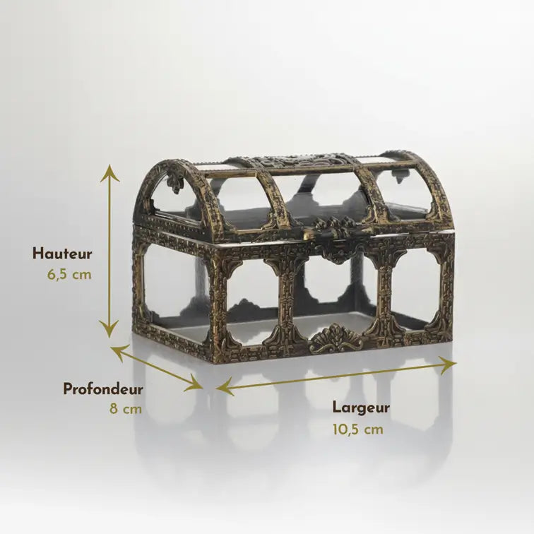 Mini-coffre transparent bronze avec dimensions indiquées, vue technique du produit.