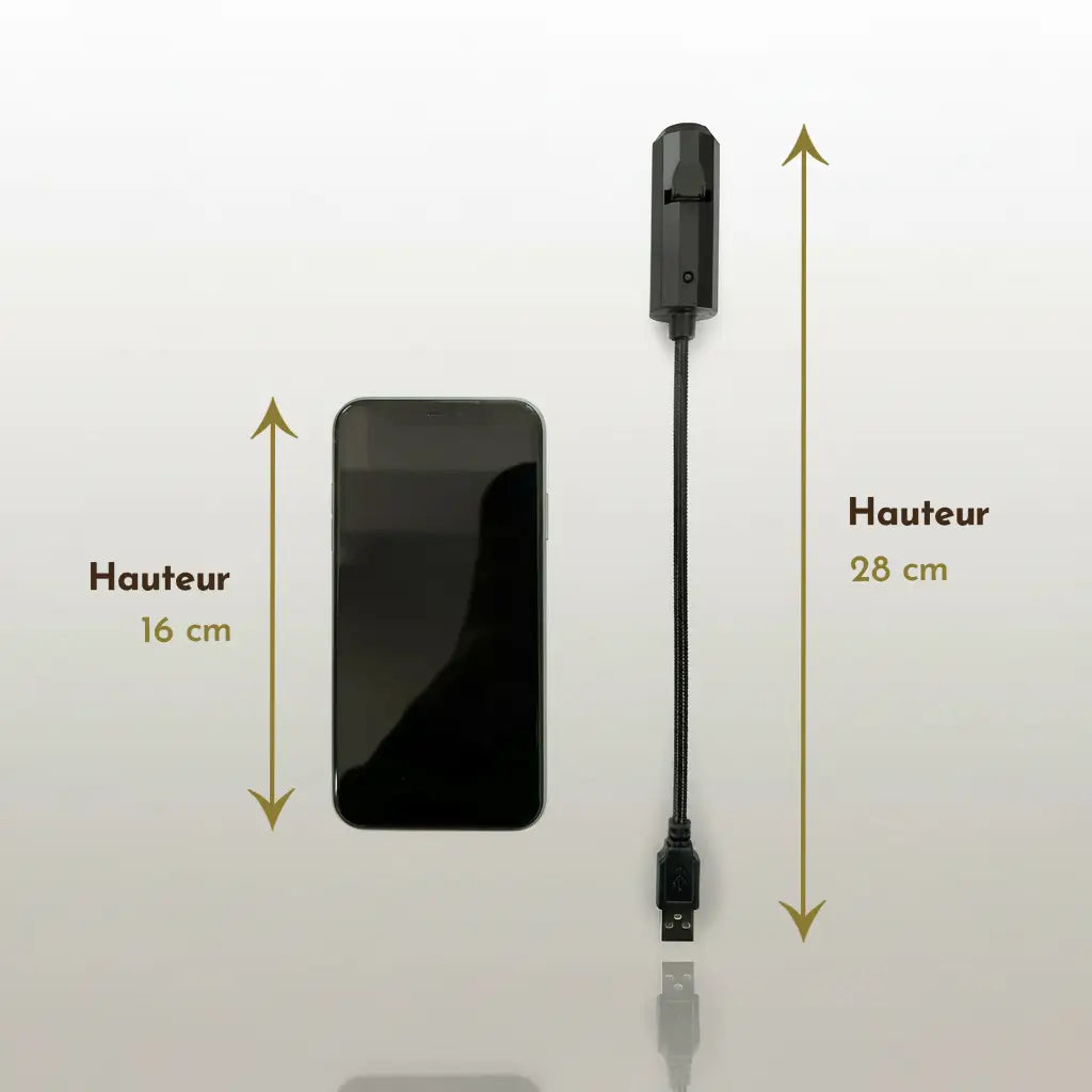 Projecteur crâne lumière pirate avec câble et dimensions détaillées, 28 centimètres de hauteur.