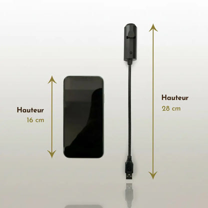 Projecteur crâne lumière pirate avec câble et dimensions détaillées, 28 centimètres de hauteur.